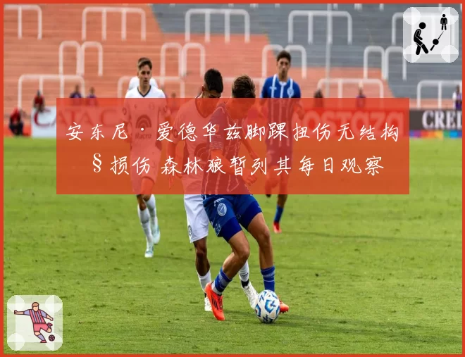 安东尼·爱德华兹脚踝扭伤无结构性损伤 森林狼暂列其每日观察